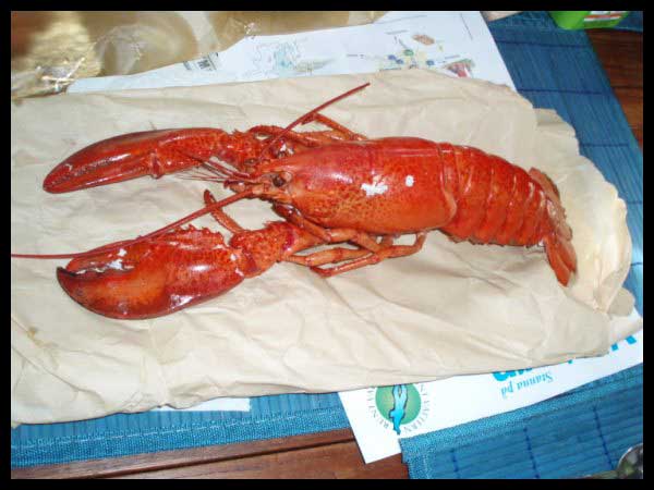 Aamiaistarvikkeet Norjassa