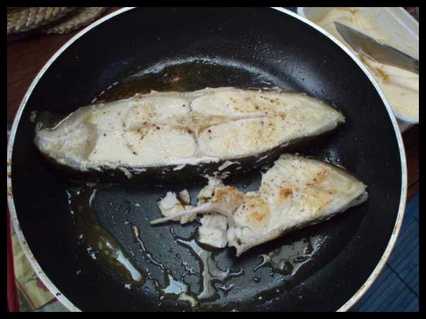 Siivu Atlantic Halibusta