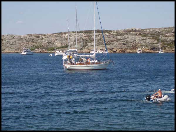 Moll&ouml;n luonnonsatama